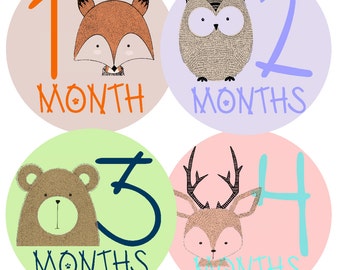 Baby Month Stickers Monthly Baby Stickers Baby Monthly Stickers Baby Milestone Sticker Milestone Stickers Month Stickers Baby Stickers Month