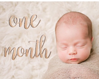 Baby  Monthly Milestone Wood Cut Sign Photo Prop First Year Baby Shower Gift Month by Month Baby First Year Gift Milestone Marker