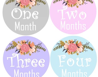 Baby Girl Month Stickers Monthly Baby Stickers Milestone Stickers Bodysuit Monthly Stickers Baby Stickers Bodysuit Milestone Stickers