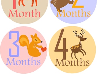 Monthly Baby Stickers Month Sticker Baby Month Stickers Baby Monthly Stickers Monthly Stickers Baby Stickers Photo Sticker Month by Month