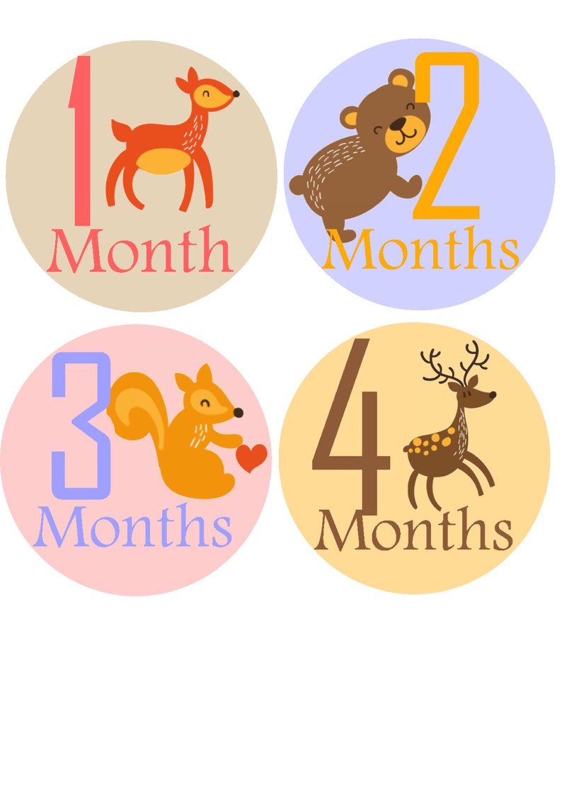 Monthly Baby Stickers Month Sticker Baby Month Stickers Baby image 1