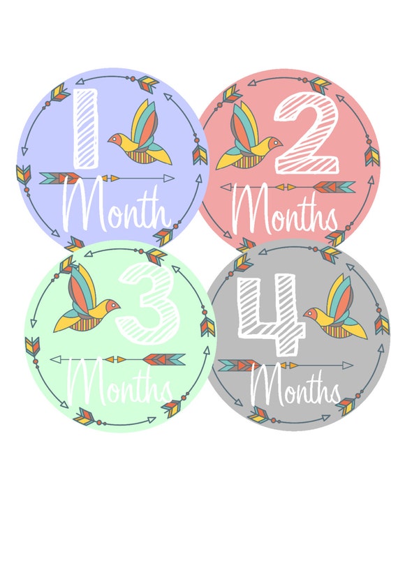 Monthly Baby Stickers Baby Month Stickers Boy or Girl Month | Etsy