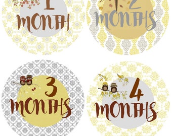 Bodysuit Stickers Milestone Stickers Baby Month Stickers Monthly Baby Stickers Photo Sticker Month by Month Baby Sticker Shower Gift Monthly