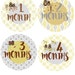 Tifany Martinez reviewed Bodysuit Stickers Milestone Stickers Baby Month Stickers Monthly Baby Stickers Photo Sticker Month by Month Baby Sticker Shower Gift Monthly