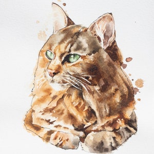 Custom cat (or dog) portrait: ink painting, cat illustration, pet portrait.