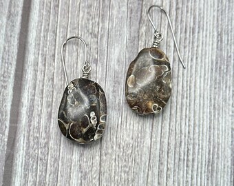 Terry - Turritella earrings