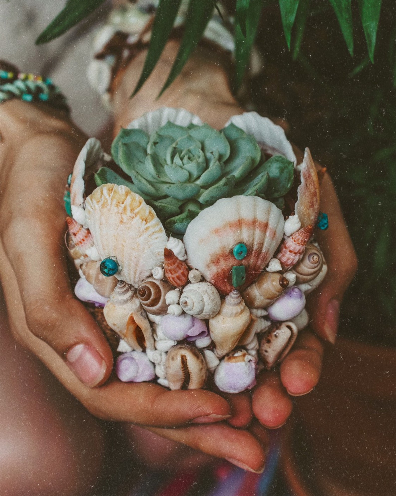 Mermaid Planter for Cactuses and Succulents bohemian home Etsy