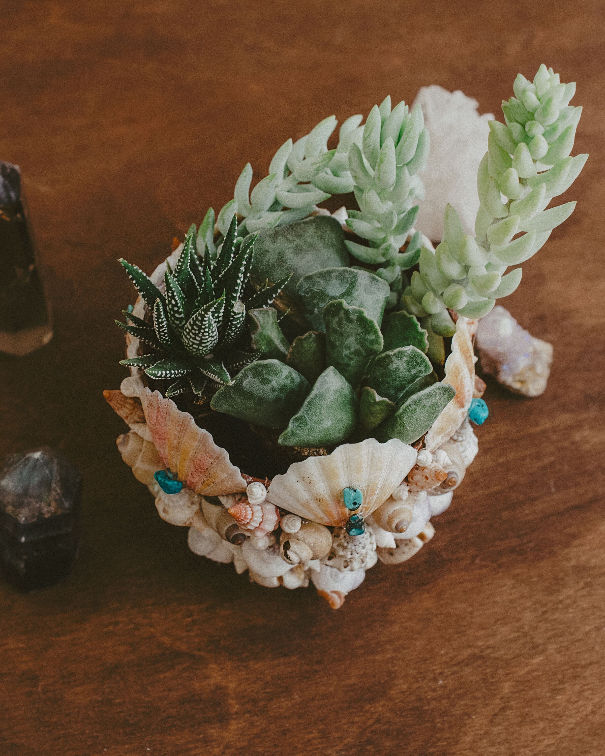 Mermaid Planter for Cactuses and Succulents bohemian home Etsy