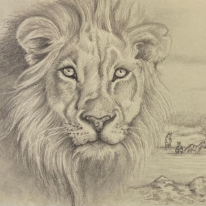 ライオンのオリジナル鉛筆画 – 野生動物の肖像画（額装済み、14×11