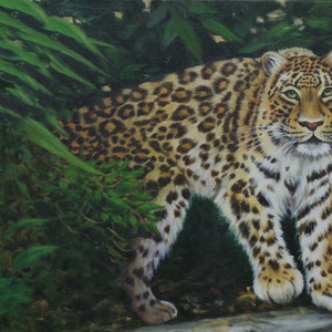Wildlife Art, SALE, forest leopard painting, original Oil painting on linen canvas, 16 x 24 Seasonal Price reduction image 1