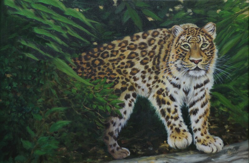 Wildlife Art, SALE, forest leopard painting, original Oil painting on linen canvas, 16 x 24 Seasonal Price reduction image 1