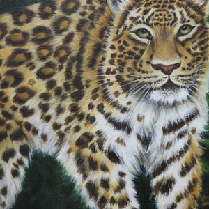 Wildlife Art, SALE, forest leopard painting, original Oil painting on linen canvas, 16 x 24 Seasonal Price reduction image 2