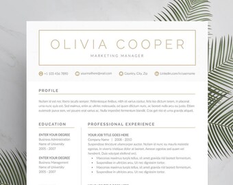 2 page resume etsy