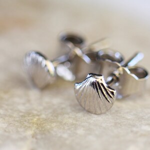 Könnte beinhalten: Silberne Muschel-Ohrstecker. Diese kleinen, detaillierten Ohrringe haben ein Muscheldesign mit strukturierter Oberfläche. Die Ohrringe sind aus glänzendem, silberfarbenem Metall gefertigt und als Ohrstecker konzipiert.