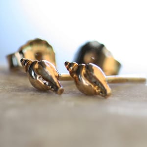 Gold Plated Sea Shell Stud Earrings: Sterling Silver, Hypoallergenic
