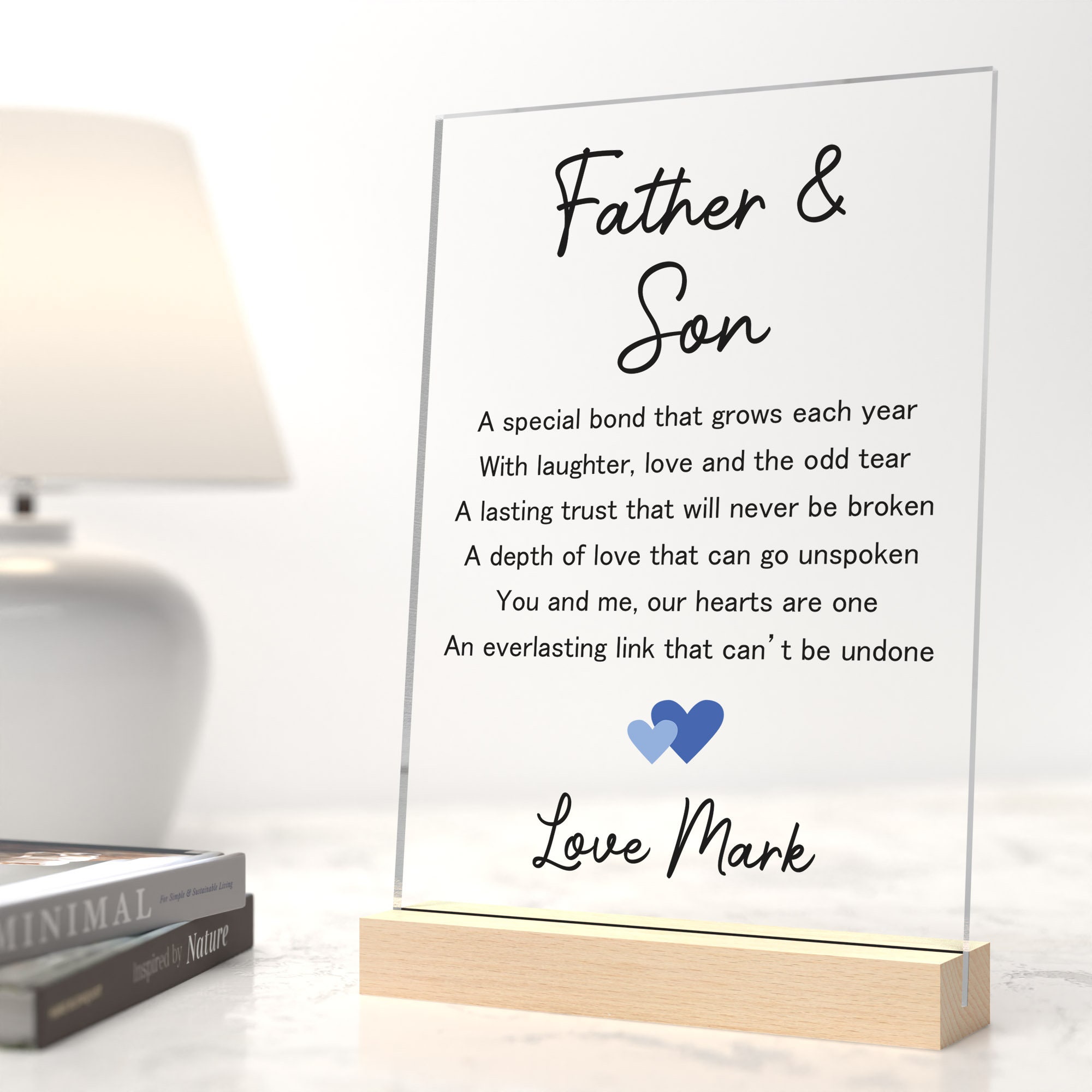 Good christmas gifts for dad from son 2025