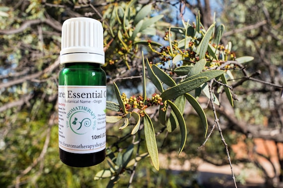 Royal Hawaiian Sandalwood Origin Hawaii Etsy Australia