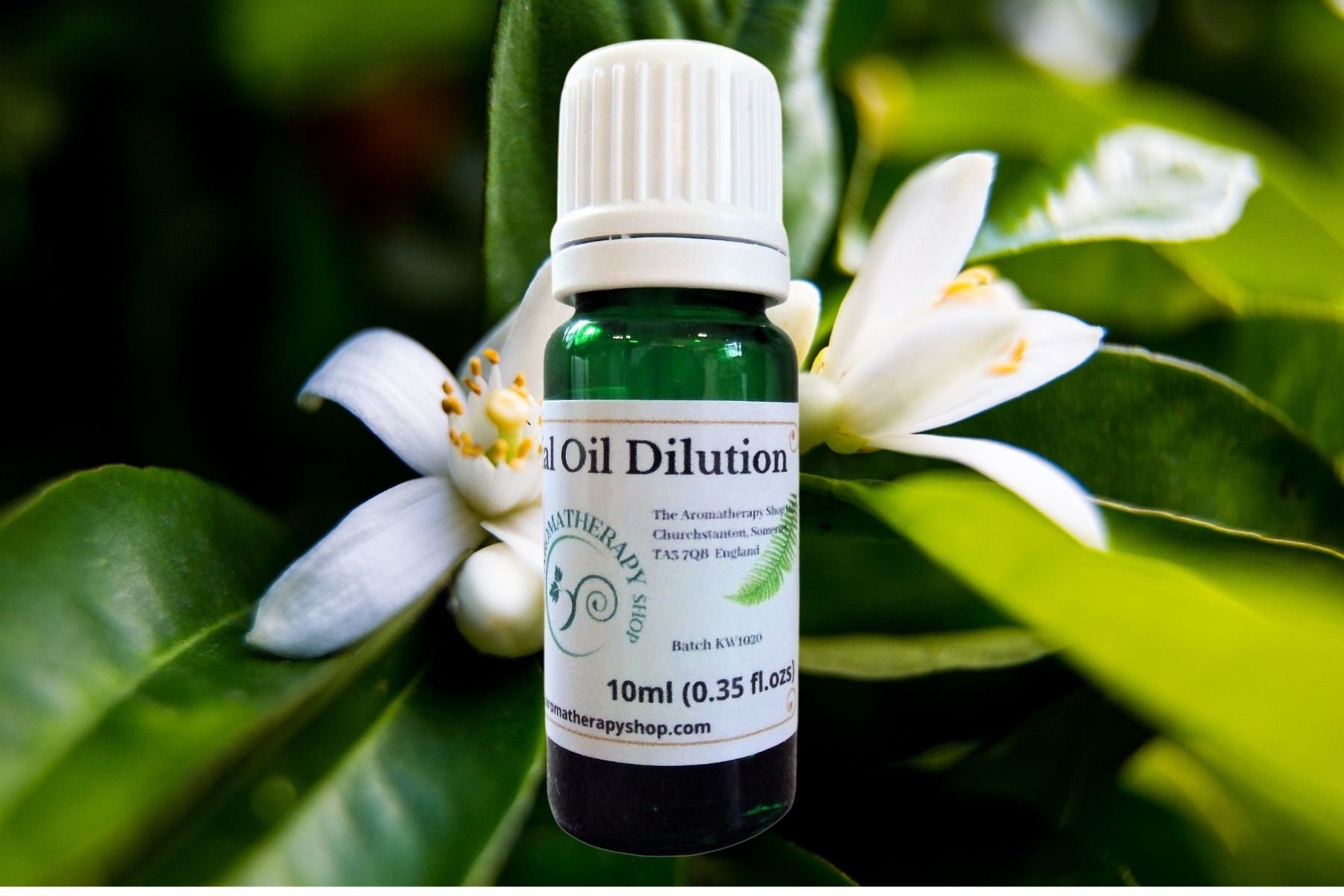 Neroli Essential Oil Dilution / Organic