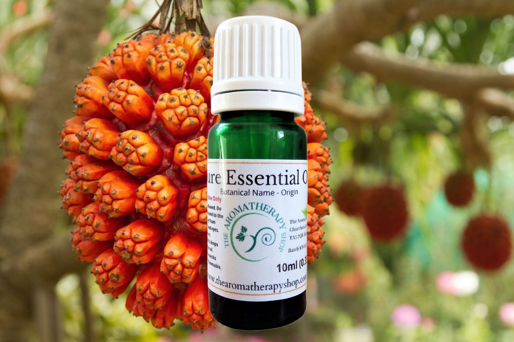 Kewra Essential Oil / Greencert Certified Organic