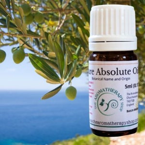 Olive Leaf Absolute Oil