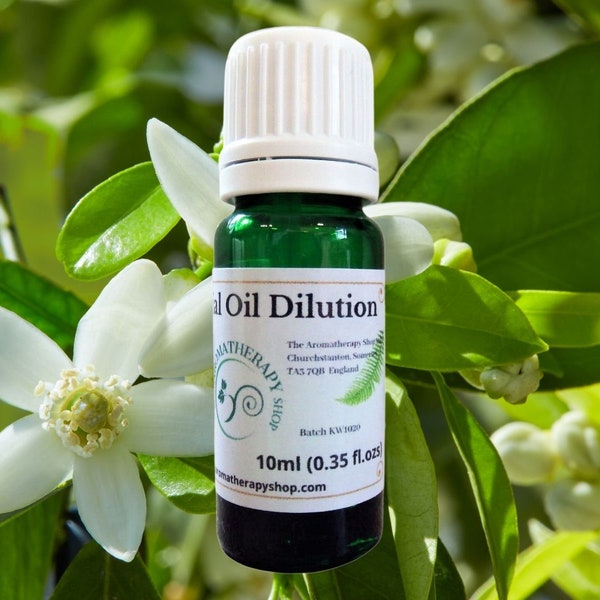 Orange Blossom Essential Oil Dilution