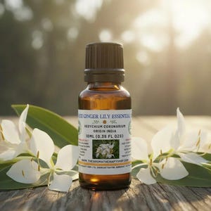 Aceite esencial puro de lirio de jengibre blanco