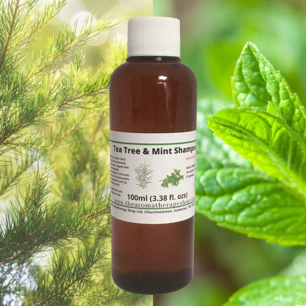 Tea Tree and Mint Organic Shampoo