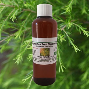 Tea Tree Floral Water / ORGANIC