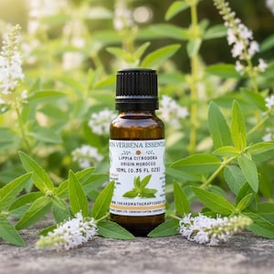 Lemon Verbena Pure Essential Oil