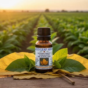 Huile absolue de tabac / Chaude et aromatique