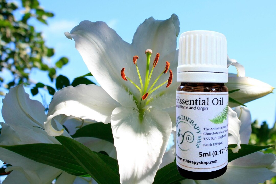 Lily Essential Oil / Origin France Etsy