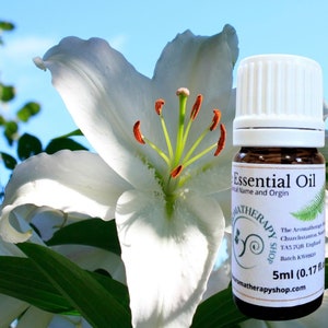 Rare Lily of the Valley, High Quality Essential Oil, 100% Pure and