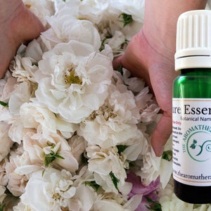 Egyptian Lilac Essential Oil