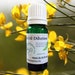 see more listings in the Essential Oil Dilutions section