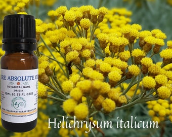 Spanish Immortelle Absolute  / 10% in DPG