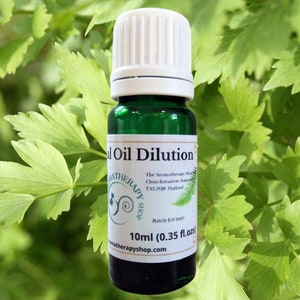 Lovage (French) Essential Oil Dilution