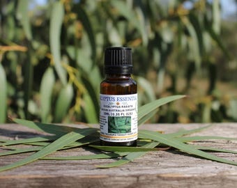 Eucalyptus Pure Essential Oil