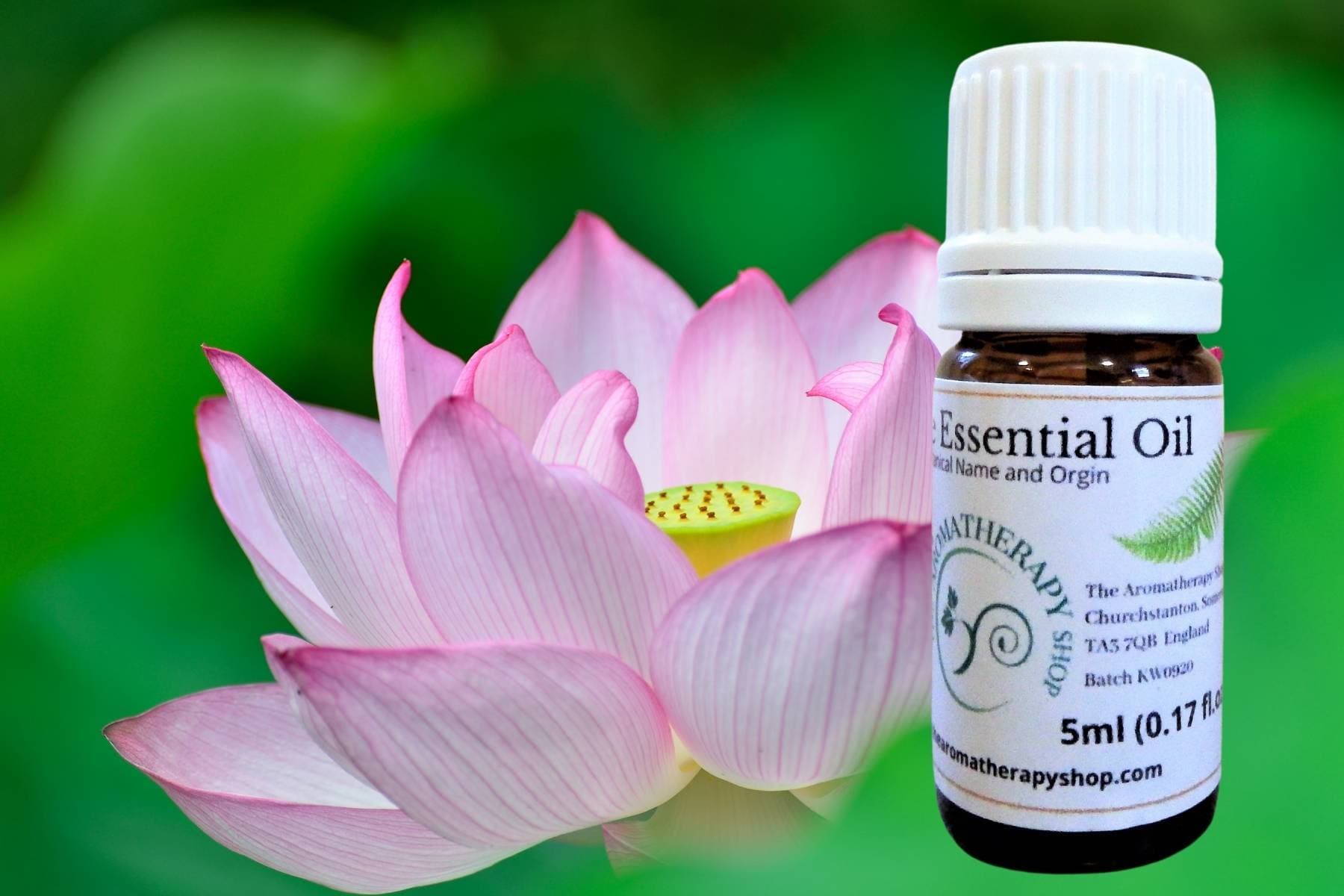Egyptian Lotus Flower Pure Essential Oil Etsy