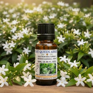 Night Queen Absolute - Cestrum Nocturnum / Grado de perfumería