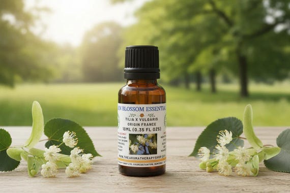 Linden Blossom Essential Oil / Origin France