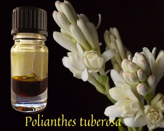 Premium Tuberose Absolute / pourable liquid form in natural TEC