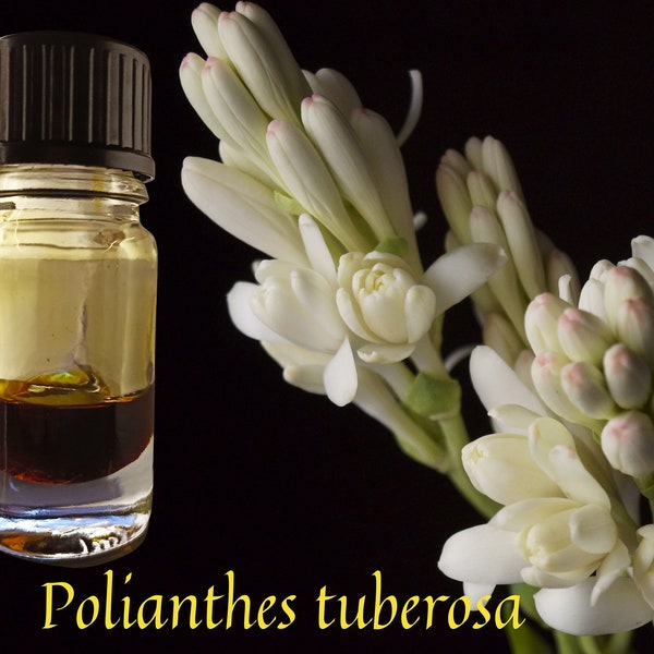 Premium Tuberose Absolute / pourable liquid form in natural TEC