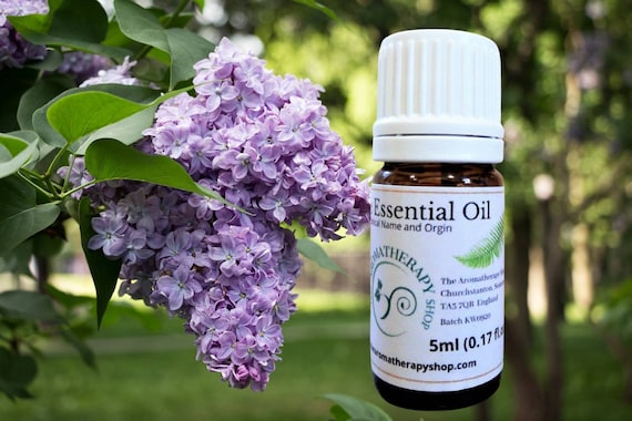 Egyptian Lilac Essential Oil Etsy