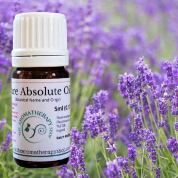 French Lavender Absolute Oil