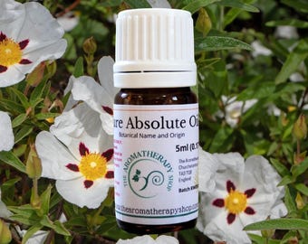 Labdanum Absolute Oil