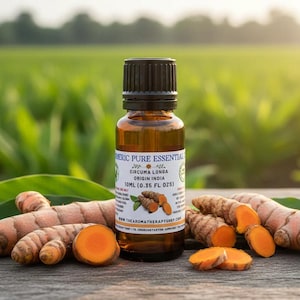 Aceite esencial puro de cúrcuma