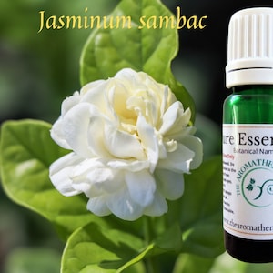 Jasmine Sambac Essential Oil / USDA Certified Organic