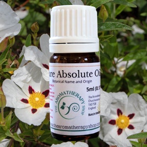 Labdanum Absolute Oil