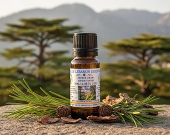Cedrus libani - レバノン杉 - 5 種子 - Etsy 日本