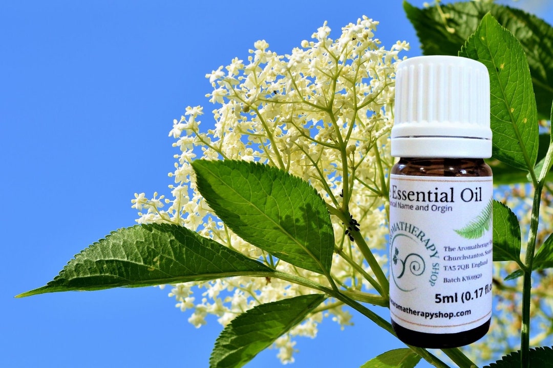 Elderflower Essential Oil / Origin USA Etsy